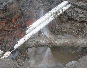 金凤水管维修费用是多少