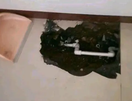金凤卫生间测漏水多少钱